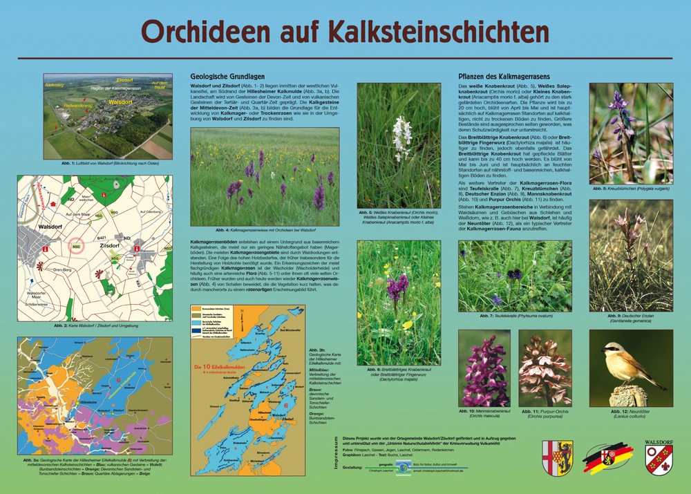p_sd_70_Tafel_Magerrasen_Walsdorf_20_4_1