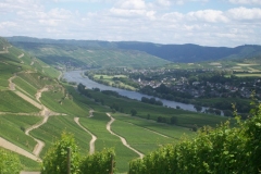 blick-ins-moseltal