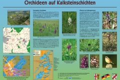 p_sd_70_Tafel_Magerrasen_Walsdorf_20_4_1